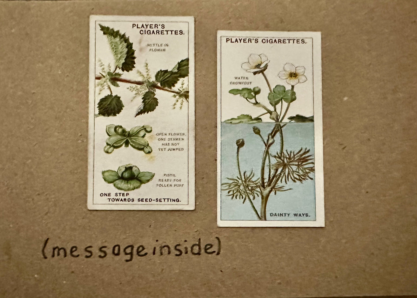 Handmade "Vintage Cigarette Card" Greeting Cards (Botanicals)