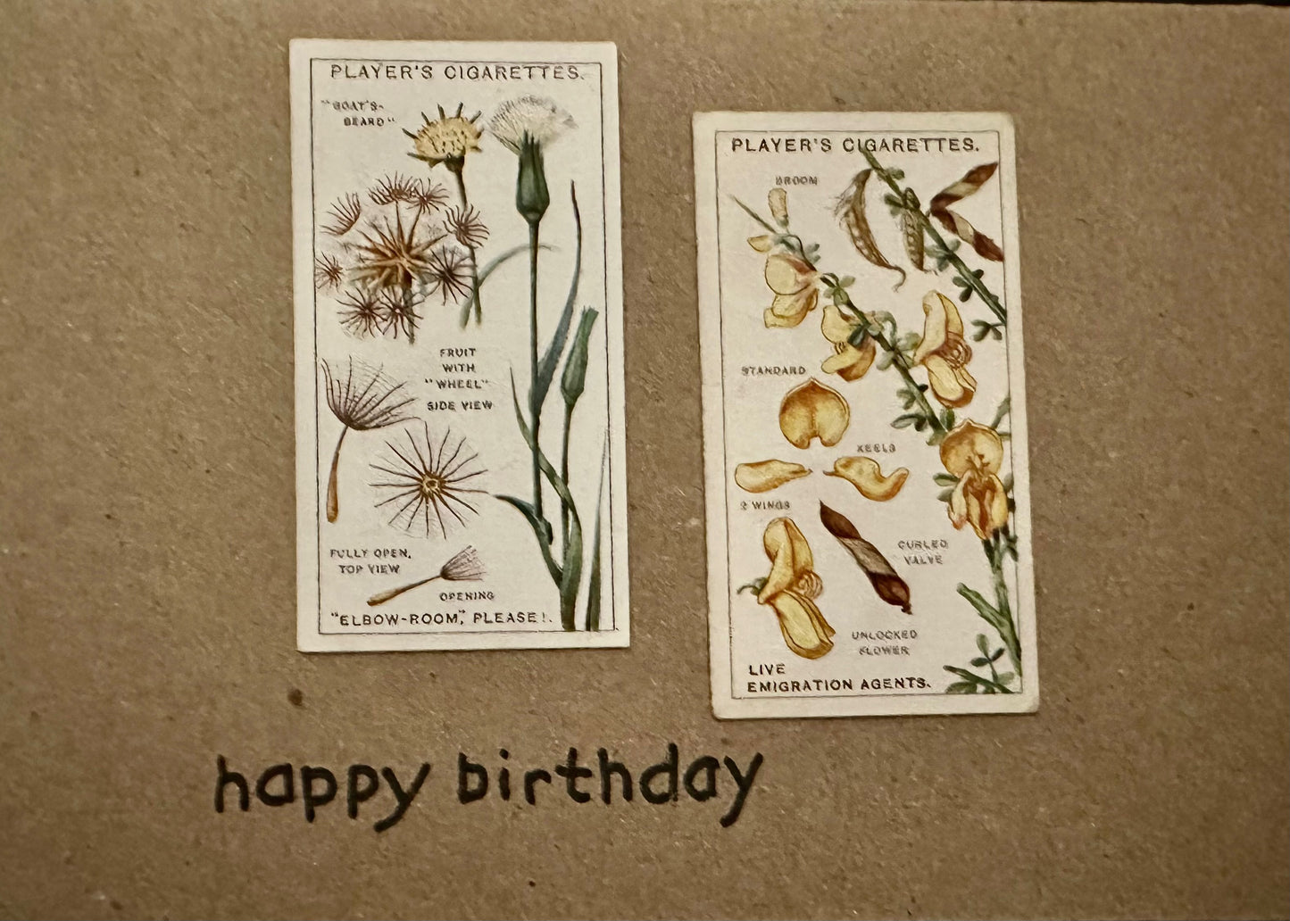 Handmade "Vintage Cigarette Card" Greeting Cards (Botanicals)