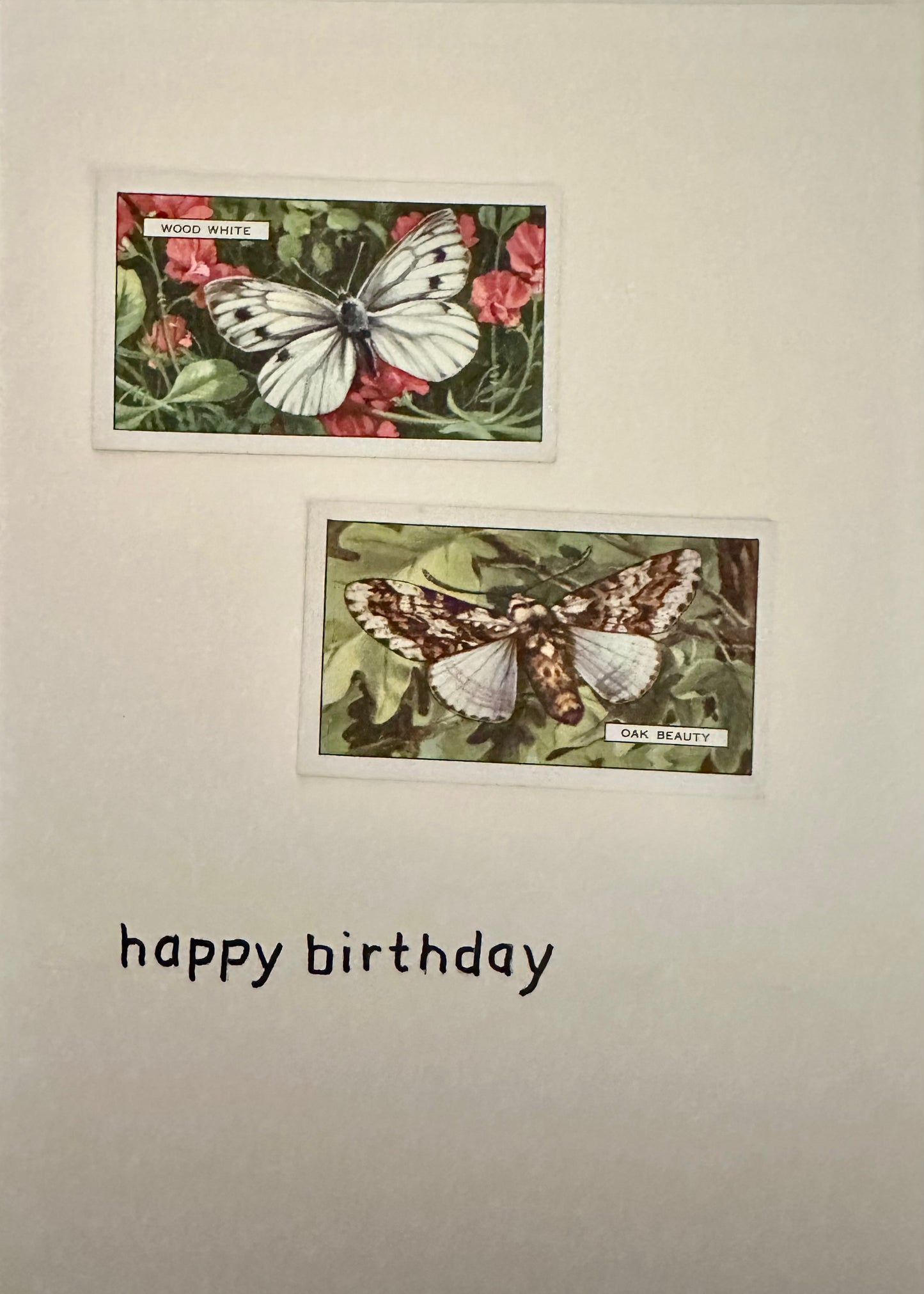 Handmade "Vintage Cigarette Card" Greeting Cards (Monarch Butterflies)