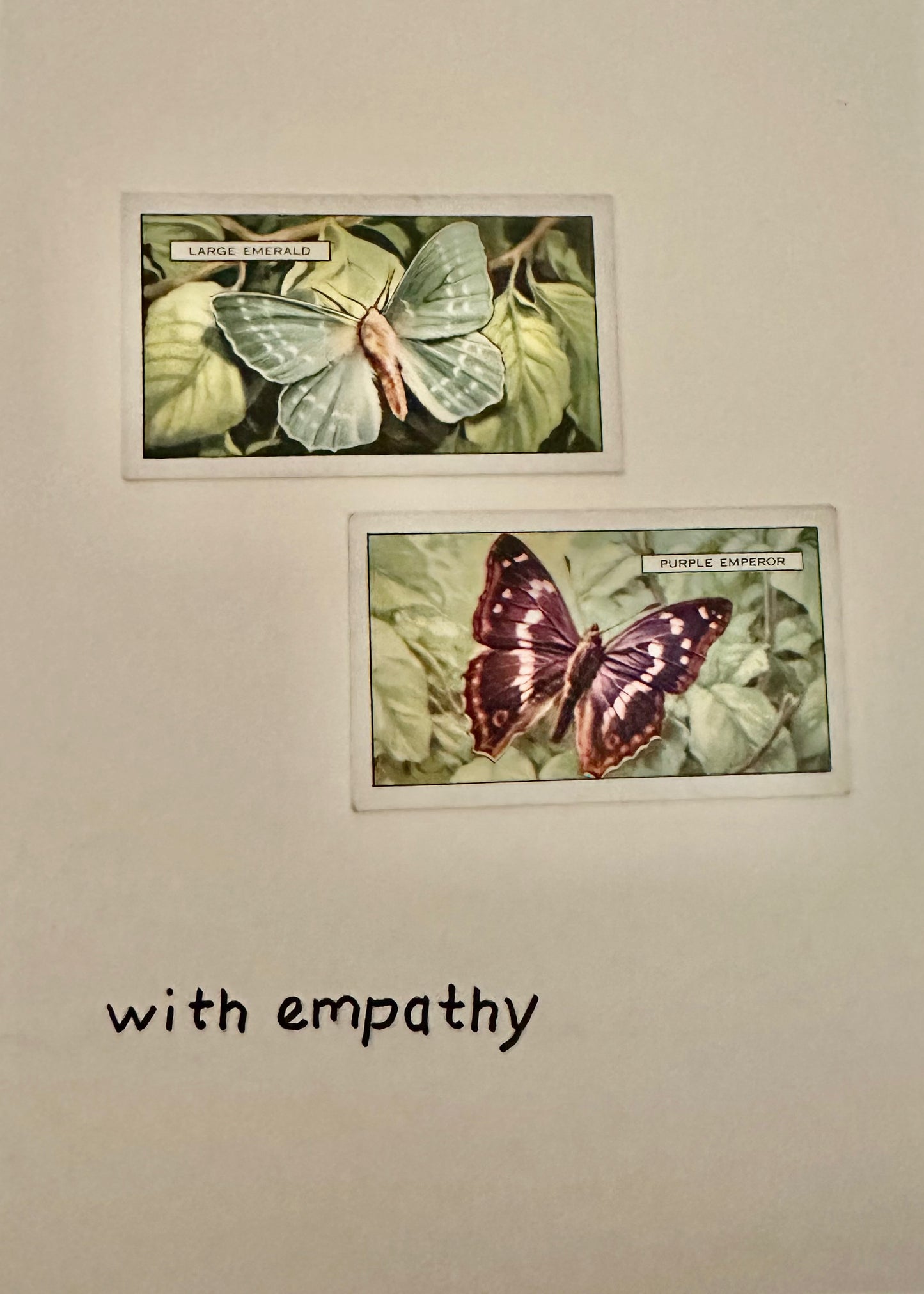 Handmade "Vintage Cigarette Card" Greeting Cards (Monarch Butterflies)